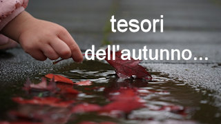 Alla scoperta dei tesori dell’autunno